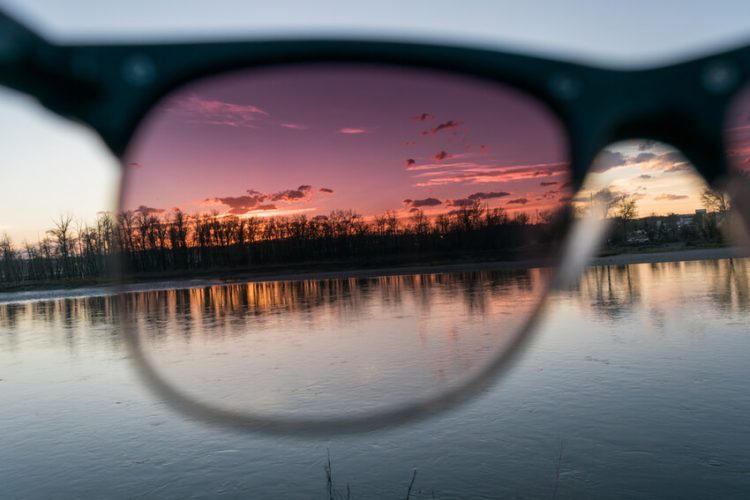 How Do Polarized Lenses Work Specsforvets 9564